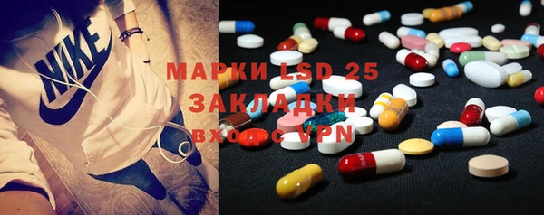прущие грибы Алексеевка
